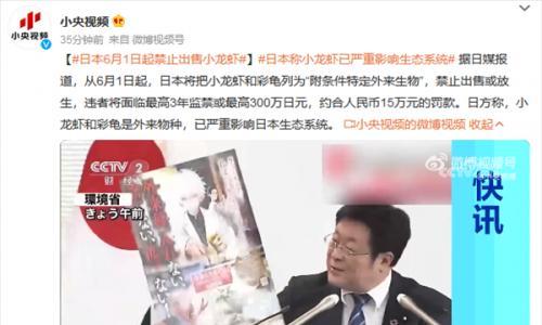 打击外来物种 日本6月起禁止出售或放生小龙虾: 最高罚款15万