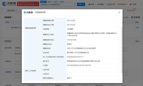 李雪琴被举报公司均为决议解散