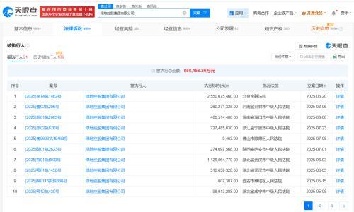 绿地控股集团等被执行25.5亿