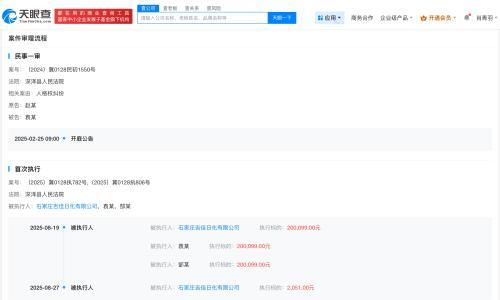 侵权赵丽颖公司被执行