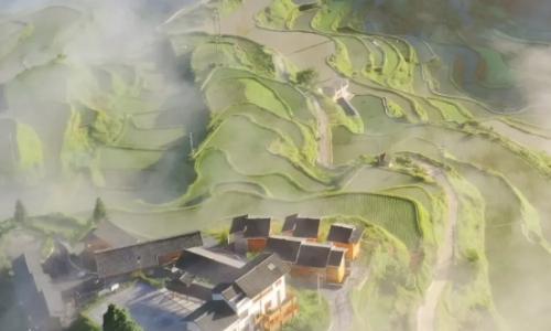 一家外企的向善力量