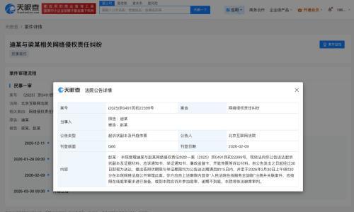 迪丽热巴告黑粉网络侵权