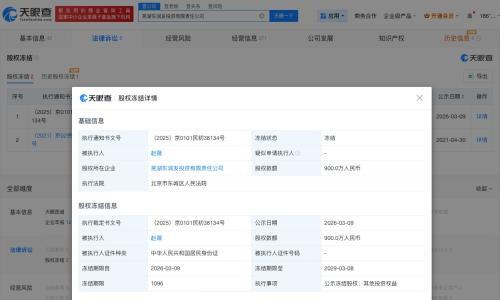 赵薇所持900万股权再被冻结