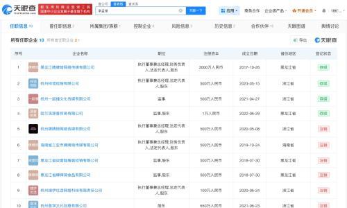 牌牌琦与小伊伊多家共同关联公司已注销